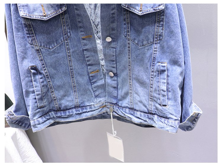 2020 Spring Loose-Fit Denim Jacket Handsome Boyfriend Wind Heavy Embroidery Small Crane Fashionable Black Jacket Women's Coat