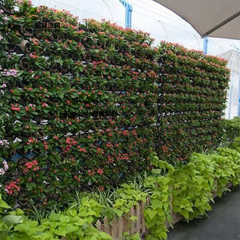 Black Color Wall Hanging Planting Bags 36/72 Pockets Grow Bag Planter Vertical Garden Vegetable Living Garden Bag Home Supplies