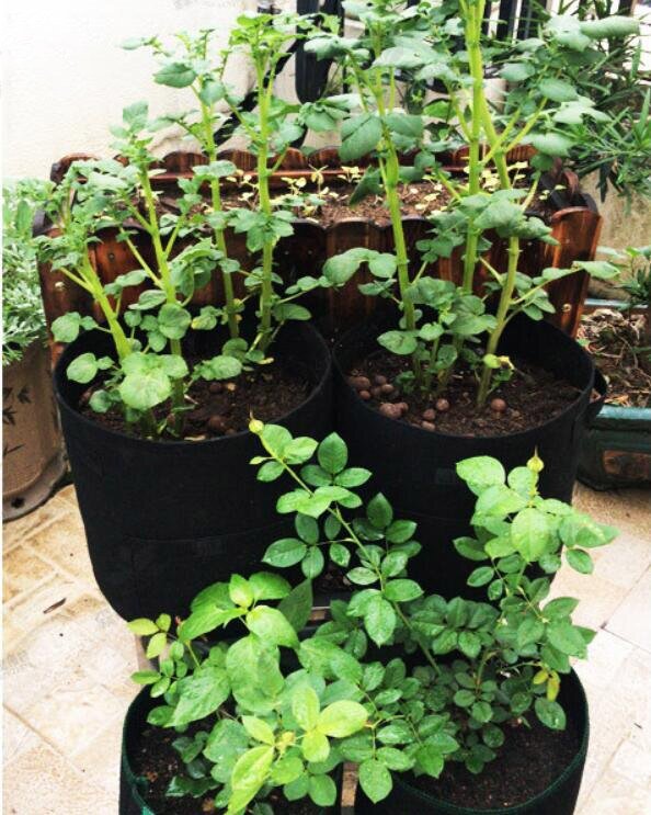 3 size Plant Grow Bags home garden Potato pot greenhouse Vegetable Growing Bags Moisturizing jardin Vertical Garden Bag tools