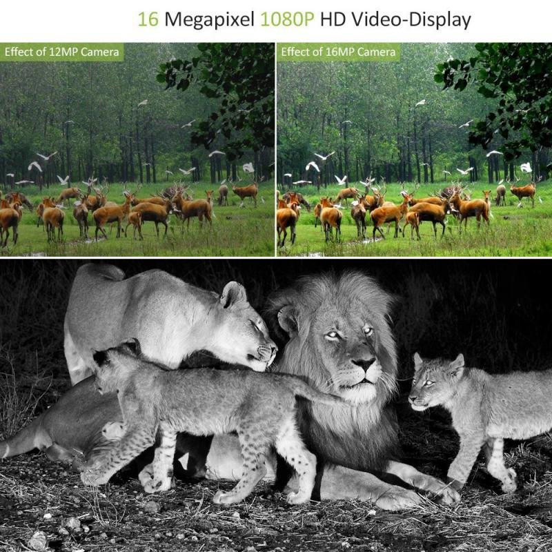 Hunting Camera Photo Trap 12MP 1080P Trail Hunting Camera Wildcamera Wild Surveillance Mini301Night Version Wildlife for Outdoor Hunting Camera Photo Trap 12MP 1080P Trail Hunting Camera Wildcamera Wild Surveillance Mini301Night Version Wildlife for Outdoor