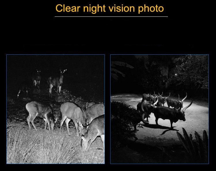 Hunting Camera Photo Trap 12MP 1080P Trail Hunting Camera Wildcamera Wild Surveillance Mini301Night Version Wildlife for Outdoor Hunting Camera Photo Trap 12MP 1080P Trail Hunting Camera Wildcamera Wild Surveillance Mini301Night Version Wildlife for Outdoor