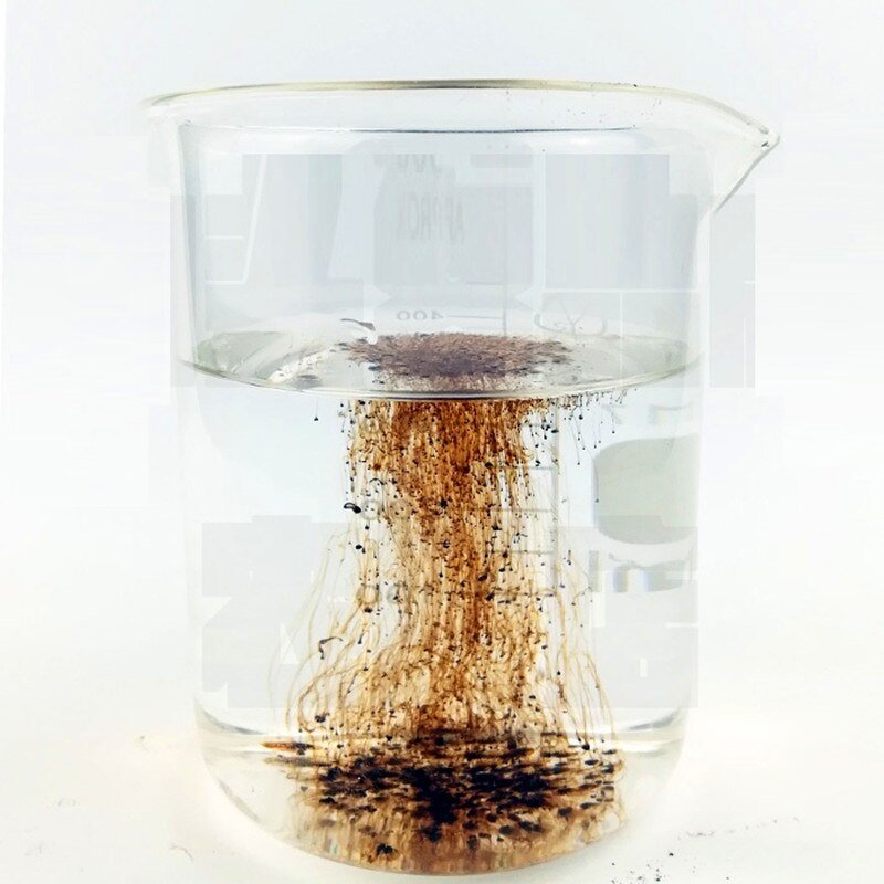 100Gram-1Kg Zeewier Extract Meststof Ascophyllum Nodosum Zeewier Extract Organische Meststof