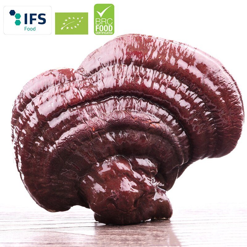 Wilde Reishi Paddestoel (Biologische)/Biologische Gannoderma Liucium Hele Rode Reishi Paddestoel Chinese Gezondheid Kruiden Ling Zhi Poeder