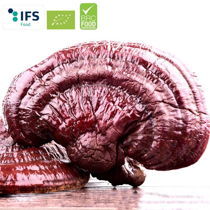 Wilde Reishi Paddestoel (Biologische)/Biologische Gannoderma Liucium Hele Rode Reishi Paddestoel Chinese Gezondheid Kruiden Ling Zhi Poeder
