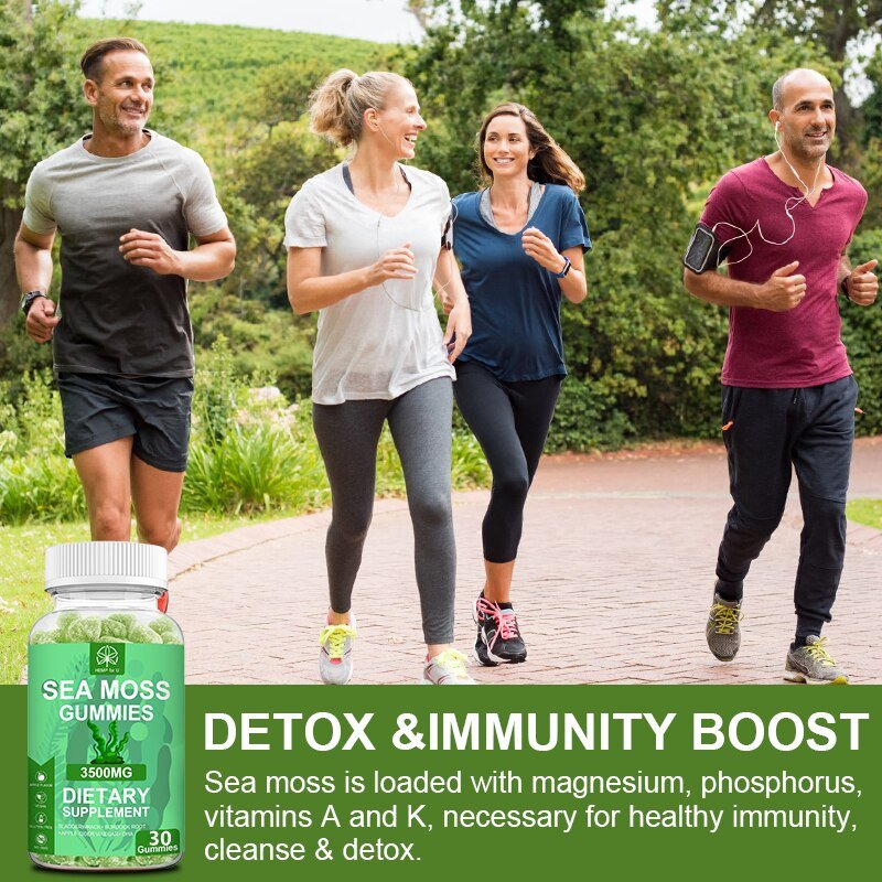 Hfu Organische Zee Moss Gummies Bladderwrack Kliswortel Meerdere Mineralen Ondersteuning Immuniteit & Schildklier Gezondheid Detox Gewichtsverlies