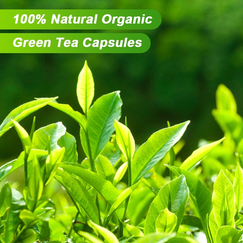 100% Biologische Groene Thee Extract Capsules Krachtige Antioxidant Afslanken Ondersteunt Gezonde Spijsvertering Vermindert Opgeblazen Gevoel Gezondheid Voedsel