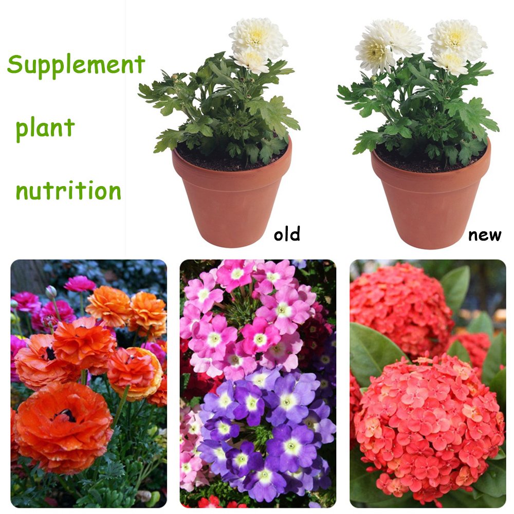 10 G Organische Meststof Mini Pakket Groene Algemene Purpose Veilig En Vervuiling Gratis Gebruik Bloem Plant Voedsel Voor Tuin Bonsai