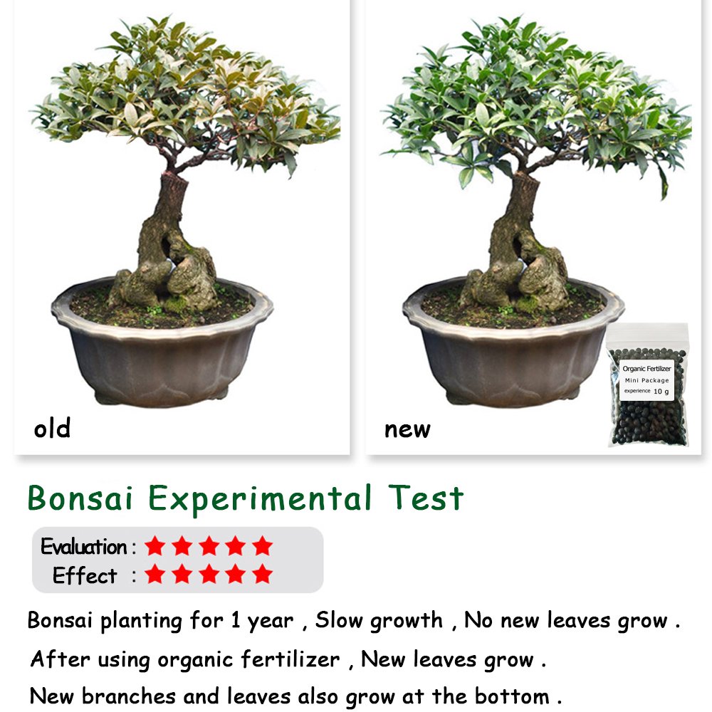 10 G Organische Meststof Mini Pakket Groene Algemene Purpose Veilig En Vervuiling Gratis Gebruik Bloem Plant Voedsel Voor Tuin Bonsai
