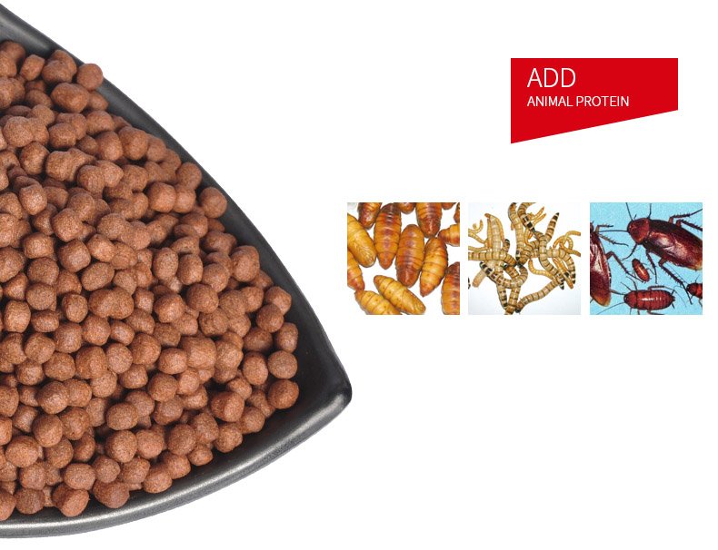 Goudvis Koi-1.5Mm 3Mm 5.5Mm Korrels Spirulina Visvoer Voor Vijver Aquarium Goudvis Koi-1.5Mm 3Mm 5.5Mm Korrels Spirulina Visvoer Voor Vijver Aquarium