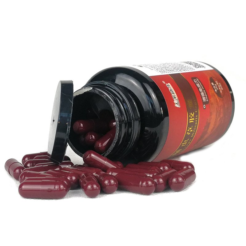 Beste Cordyceps Sinensis Militaris Paddestoel Mycelium Extract Capsules Supplement Voor Schimmel/Bijnier Vermoeidheid/Immuunsysteem