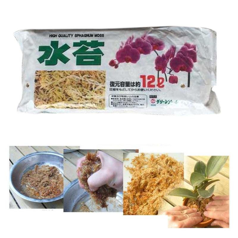 2 Pack Veenmos Tuin Bonsai Voeding Organische Meststof Voor Orchidee Phalaenopsis Musgo Veenmos Bloem Tuin 2 Pack Veenmos Tuin Bonsai Voeding Organische Meststof Voor Orchidee Phalaenopsis Musgo Veenmos Bloem Tuin