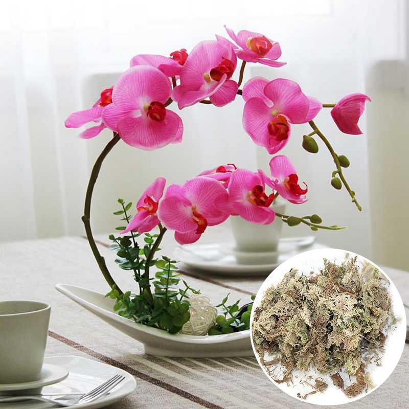 2 Pack Veenmos Tuin Bonsai Voeding Organische Meststof Voor Orchidee Phalaenopsis Musgo Veenmos Bloem Tuin 2 Pack Veenmos Tuin Bonsai Voeding Organische Meststof Voor Orchidee Phalaenopsis Musgo Veenmos Bloem Tuin